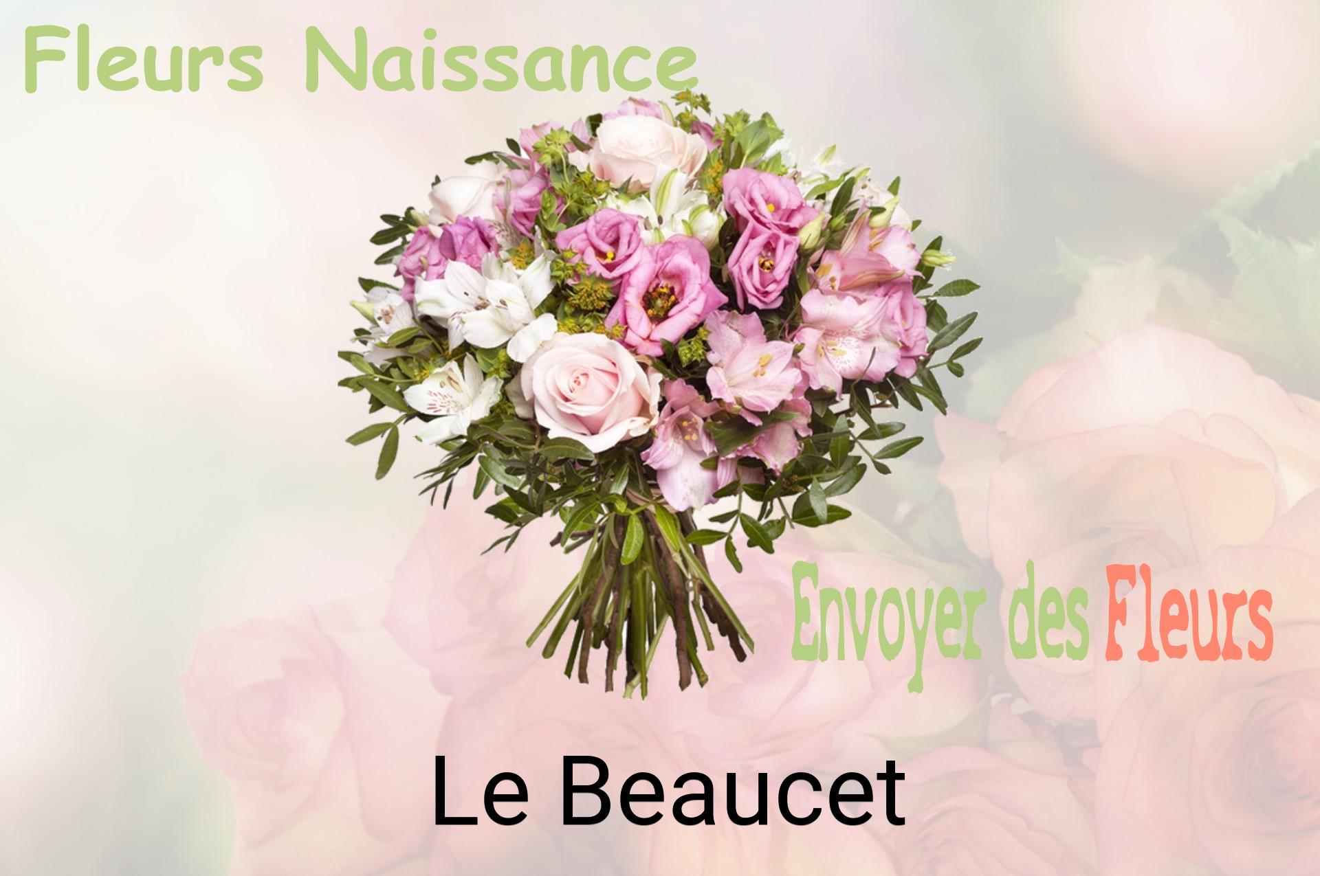 Bouquet de fleurs de naissance livré à Le Beaucet